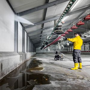 Lanza de 2050 mm, giratoria, ergonómica de Karcher